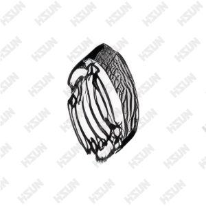 Anillo de sujeción