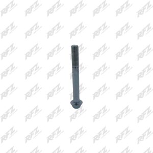 Tornillo M10x1.25x115