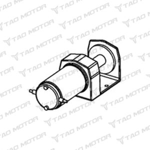 Motor de winche