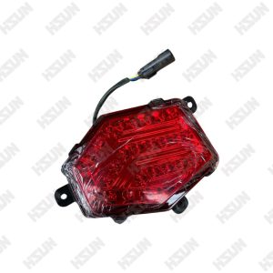 Conjunto de luz posterior izquierdo